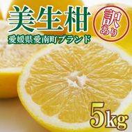 先行予約 訳あり 美生柑 みしょうかん 約5kg 河内晩柑 不揃い 大小ミックス 傷あり ばんかん フルーツ 果物 くだもの 文旦 晩生柑 厳選 愛媛 みかん 蜜柑 愛南 ご当地 ブランド 