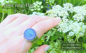 color ring -flat- リング 指輪 アクセサリー 1個 [Q]handmadejewely【シンプル  グラデーション スカイブルー グリーン イエロー パープル ピンク 可愛い ハンドメイド ジュエリー 手作り  職人 上品 大人な雰囲気 ギフト プレゼント】