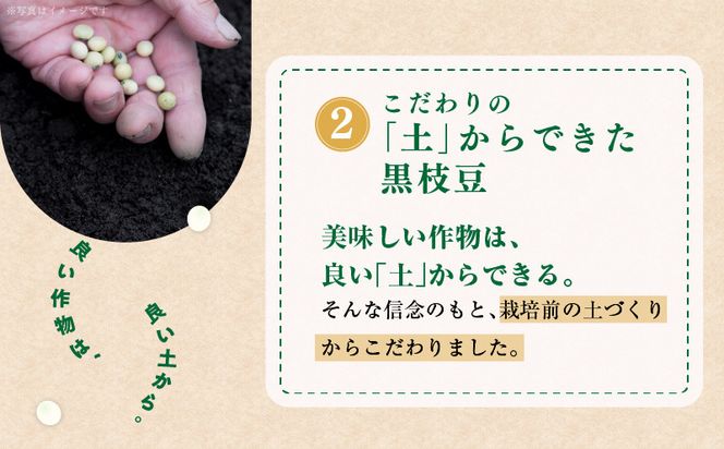 005A061 【先行予約】黒枝豆 1.8kg 【新鮮 野菜 泉佐野産 えだまめ やさい TONOファーム 高評価 数量限定 畑から直送 朝採り】