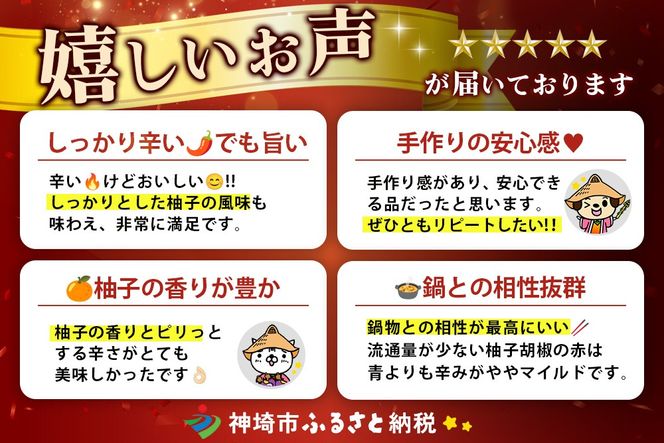 脊振ジビエ 詰め合わせ イノシシ肉約600g＆柚子胡椒2本セット 【ジビエ イノシシ肉 ロース バラ カレー 鍋 詰め合わせ】(H059121)