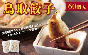鳥取餃子 鳥取県産ブランド豚使用 60個セット (30個入り×2パック) 312011_DK005