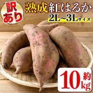 isa875 《訳あり》熟成紅はるか(約10kg・2L～3Lサイズ混合) 訳あり さつまいも 紅はるか 鹿児島 生芋 完熟 長期熟成 土付き べにはるか サツマイモ 焼き芋に 【いさ工房】