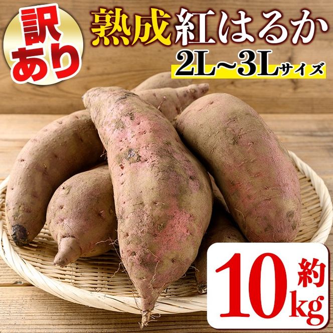 isa875 《訳あり》熟成紅はるか(約10kg・2L～3Lサイズ混合) 訳あり さつまいも 紅はるか 鹿児島 生芋 完熟 長期熟成 土付き べにはるか サツマイモ 焼き芋に 【いさ工房】