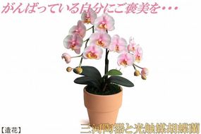 綺麗で丈夫な三河陶器で贈る光触媒胡蝶蘭小輪１本立（ピンクの陶器×桃色の花）H100-104