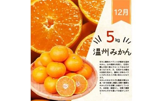 【全3回】紀州和歌山産旬のフルーツ定期便 (いちご・桃・有田みかん) 【tkb375】