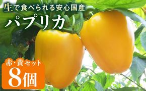 糸島産 肉厚 パプリカ 8個 福岡県 糸島市 / シーブ [AHC031] 野菜 やさい パプリカ ピーマン 肉厚 生 ピクルス マリネ 肉詰め