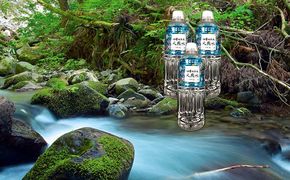 四季の恵み天然水 550ml　48本セット 飲料類 ミネラルウォーター 養老山渓 清らかな 湧き水 