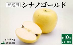 【先行予約】令和8年度産 訳あり りんご シナノゴールド 約10kg 28～40玉入 フルーツ 果物 甘い 訳あり 林檎 リンゴ