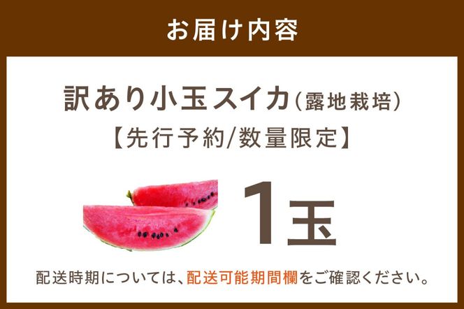 【先行予約／数量限定100】にしまるスイカ 訳あり 1玉入り（露地栽培）（2025年7月中旬から発送）　FR00014