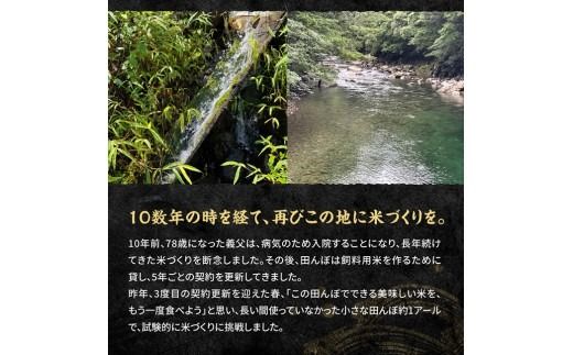 ※選べる内容量・発送回数※　宮崎県産　早期コシヒカリ（精米）3kg/5kg 【 令和8年産 米 お米 白米 精米 国産 宮崎県産 こしひかり おにぎり 】ⅠⅧ [B13301 B13301t3 B13302 B13302t3]