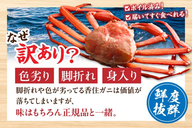 〈カンテレ「やすとも・友近のキメツケ！」で紹介！〉【訳あり 香住ガニ 浜茹で 2～3杯 約1kg以上 1～2本指落ち 冷蔵】【令和8年2月以降発送予定】 TVで紹介 国産 香住 日本海 カニ かに 蟹  爪 身 脚 しゃぶ ベニ ズワイガニ 紅 べに ずわいがに 訳あり ご自宅用 大人気 ふるさと納税 返礼品 おすすめ 兵庫県 香美町 丸近 19-09 ☆
