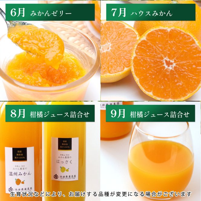 家庭用 柑橘定期便M（毎月）全12回 ［IKE307］ 303446_BB90216