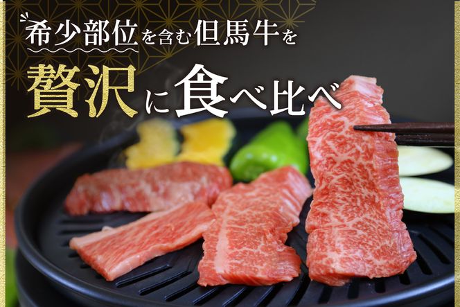 《12/21まで年内発送》【但馬牛 焼肉食べ比べ おすすめ5種盛り 500g】冷凍 ※発送目安：貴重な部位のためお届けに1～2か月要します 黒毛和牛 ルーツ 香美町 産地直送 国産 牛肉 ブランド 和牛 バーベキュー キャンプ ふるさと納税 おすすめ 返礼品 但馬 神戸 兵庫県 香美町 村岡 牛将 村岡ファームガーデン 02-18