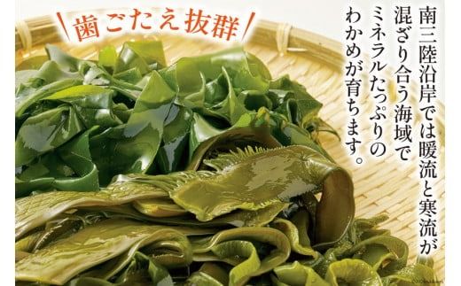 わかめ 【食べ比べ】 南三陸町産 塩蔵わかめ セット (塩蔵わかめ130g×3袋&塩蔵茎わかめ350g×2袋) [南三陸さんさんマルシェ 宮城県 南三陸町 30ai0029] 海藻 ワカメ 茎わかめ 茎ワカメ 詰め合わせ