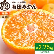 《2026年11月上旬～2027年1月下旬頃に順次発送》【2026年先行予約】厳選 完熟有田みかん約2.5kg+250g（傷み補償分）【光センサー選果】_ZH7122