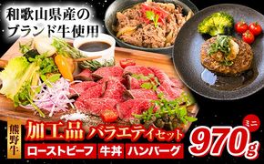 牛肉 熊野牛 加工品 バラエティ セット ミニ ローストビーフ 生ハンバーグ 牛丼の具 約 970g 株式会社Meat Factory《30日以内に出荷予定(土日祝除く)》和歌山県 日高川町 熊野牛 牛 和牛 惣菜 ハンバーグ 牛丼---wshg_fmfy45_30d_24_22000_bsm---