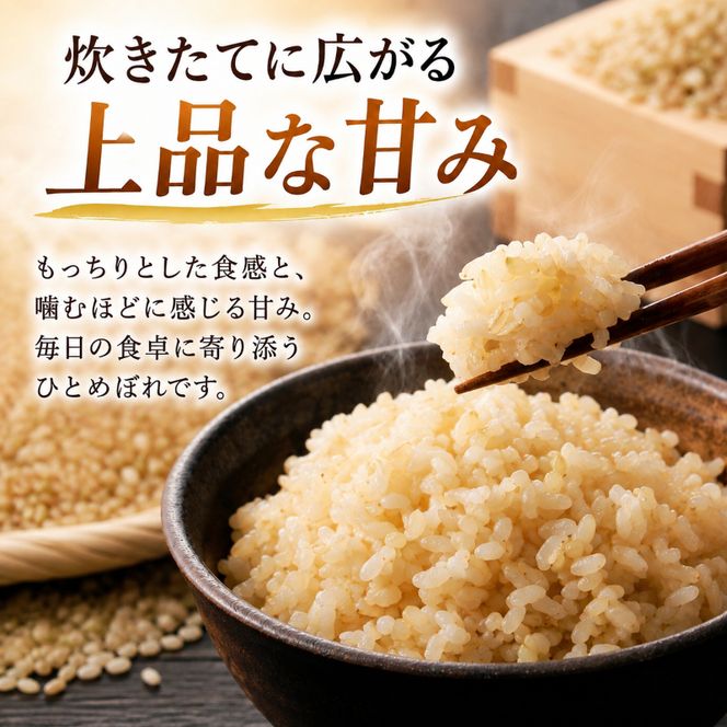 令和8年産福井県若狭町ひとめぼれ（一等米）玄米 10kg（神谷農園） 5kg×2袋 お米 ブランド米 銘柄米 ご飯 おにぎり お弁当 産地直送 和食 主食