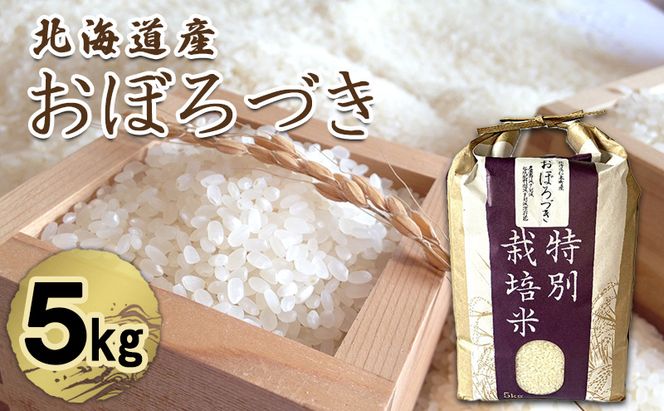 北海道 仁木町産 特別栽培米 おぼろづき 5kg 紅果園の産直米 お米 白米 ご飯 ブランド米 銘柄米 精米 おにぎり お弁当 和食 産地直送 国産 食卓 [峠のふもと紅果園]