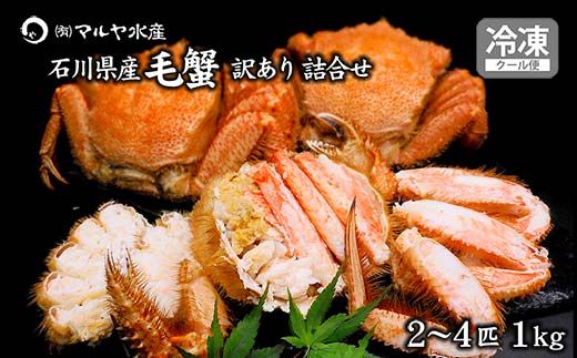 毛ガニ 毛蟹 訳あり 2〜4匹 1.0kg セット 石川県産 茹で蟹 F6P-3033