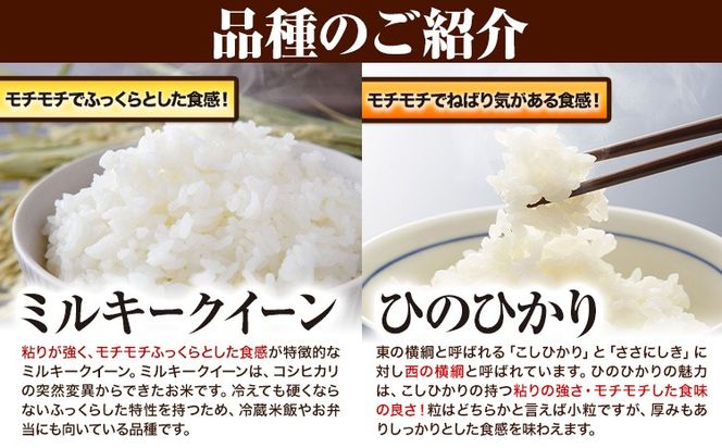 令和7年産 青空市きらりの 選べる内容量 5kg 10kg 岡山県産 (品種はお選びいただけません) 青空市きらり《30日以内に発送予定(土日祝除く)》岡山県 矢掛町 白米 精米 米 コメ---osy_akak_30d_25_17000_5kg---