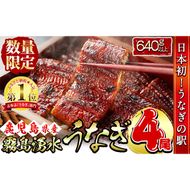 【2025年8月末までに配送】【志布志市人気No.1お礼の品】霧島湧水鰻の蒲焼き 160g以上×4尾＜計640g以上＞ b3-018-08