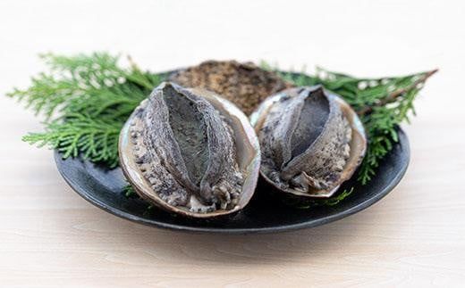 【数量限定】活黒あわび（養殖）NA00002
