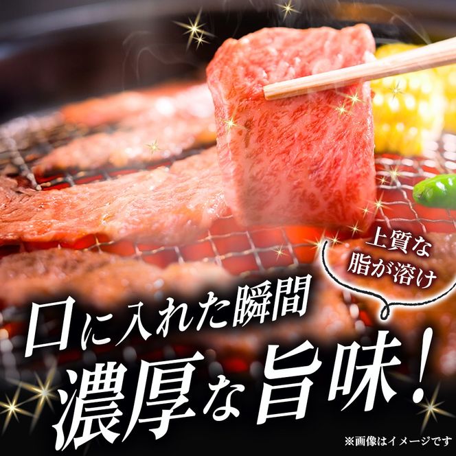 【新鮮チルド発送!!】A5等級宮崎牛特選ロース焼肉 300g（黒毛和牛 牛肉 宮崎牛 ロース 霜降り 赤身 焼肉用 宮崎県）