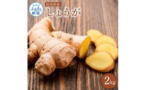 【CF-R7hbk】YTY005　高知県産 生姜 2kg 土佐一 お取り寄せ まとめ買い 大量 美味しい 健康 野菜 ジンジャー おかず 料理 生姜焼き しょうが湯 薬味 故郷納税
