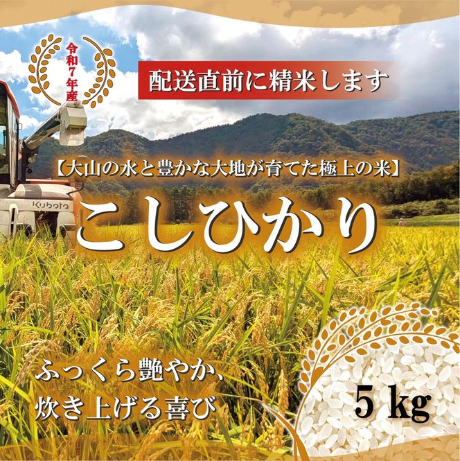 y挧khz1804.ߘa7NY@Ђ@5kg 313726_CH001