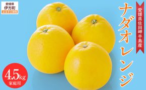 【先行予約】【農家直送】愛媛県産 ナダオレンジ 家庭用 4.5kg（2025年5月中旬より順次発送予定） IKTC006 