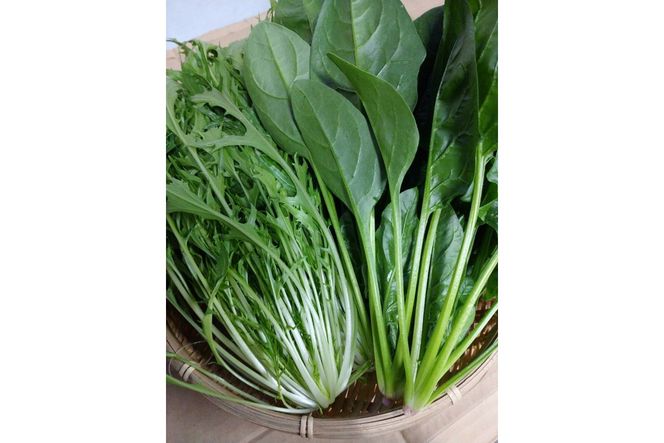 【先行予約】京丹後冬鍋野菜セット（2026年11月上旬～発送）　MY00020