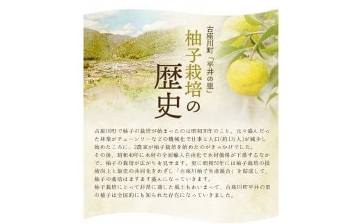 古座川町のゆずドリンク（はちみつ入り） はちみつ柚香ちゃん 160ml（6本入） ゆず 柚子 柚 ユズ ジュース ドリンク はちみつ【yuz108B】
