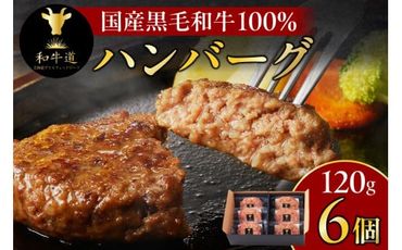 ブランド和牛「十勝姫」の和牛道ハンバーグ120g×6個セット_S017-0003