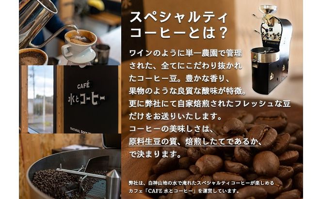 白神山地の水とコーヒーギフトセット（ドリップオン 水とコーヒー オリジナルブレンド） 飲料類 ミネラルウォーター 飲料 珈琲 ドリップコーヒー 