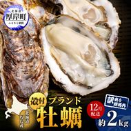 12月配送 訳あり ハーフ 規格外 牡蠣 北海道厚岸産 殻付カキ 約2kg（11～25個）カキナイフ付 生食 魚貝類 生牡蠣 かき 生カキ カキフライ マルえもん いびつな形 四季によって違う味わい コクがあり濃厚