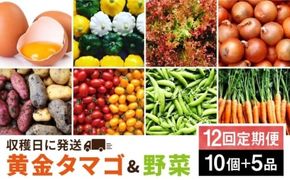 【全12回定期便】糸島の朝産み黄金タマゴ10個 朝どれ新鮮野菜5品 セット【福岡県糸島産】 糸島市 / オーガニックナガミツファーム 玉子 やさい 	[AGE049]