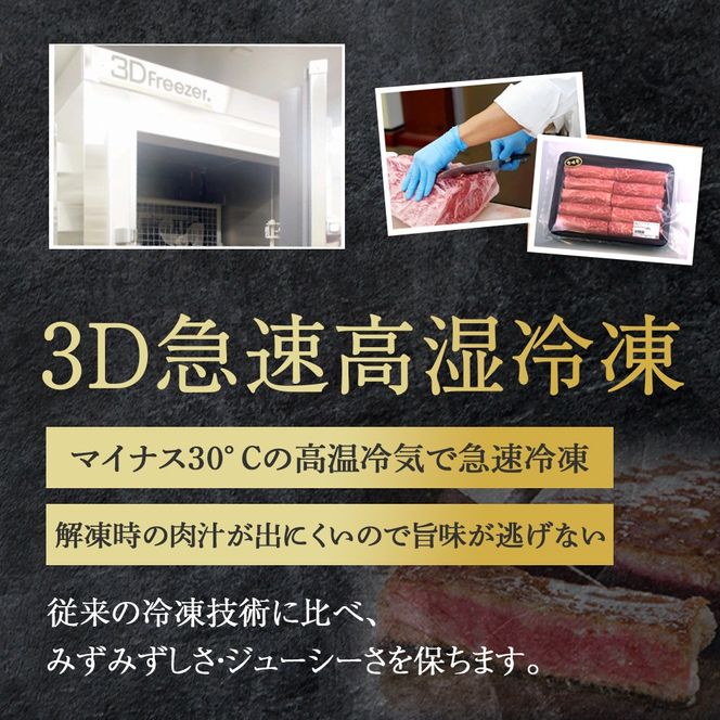【人気鉄板焼き店厳選】熟成宮崎牛A4等級ロース・赤身すき焼き食べ比べセット　オリジナルタレ付き（国産 牛肉 黒毛和牛 宮崎牛 焼肉 すき焼き スライス 赤身 霜降り 特製タレ付き） 