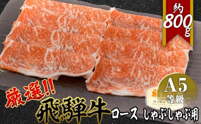店主こだわり雌牛 飛騨牛A5等級　ロース　しゃぶしゃぶ用　約800g [No.067]