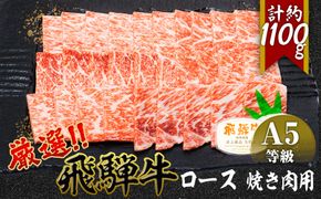 店主こだわり雌牛 飛騨牛A5等級　ロース　焼き肉用　約1.1kg [No.085]