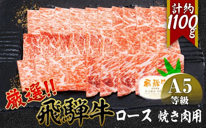 店主こだわり雌牛 飛騨牛A5等級　ロース　焼き肉用　約1.1kg [No.085]