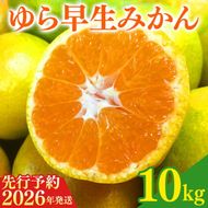 【2026年先行予約】紀州和歌山有田産ゆら早生みかん 10kg