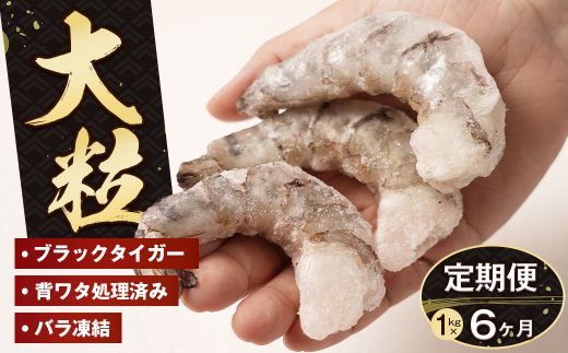 【定期便6ヶ月】至福の大粒 むきえび　背ワタ処理済 1kg　ブラックタイガー 冷凍 ムキエビ  大型 海老