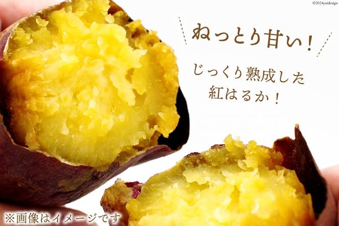 【熟成芋使用】 訳あり 干し芋 国産 大ちゃん熟成干し芋 230g 5パック 計1.15kg【期間限定発送 常温配送】[かつ農園 静岡県 吉田町 22424223] 干しいも ほしいも ほし芋 さつまいも 紅はるか