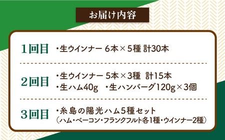 【全3回定期便】 ウインナー / ハンバーグ / ハム 月替り セット 糸島市 / 志摩スモークハウス 生ハム ベーコン[AOA038] 