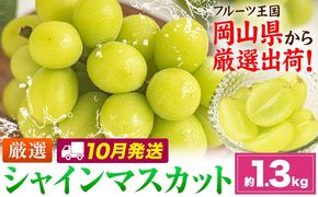 【10月発送】シャインマスカット 約1.3kg(2-3房)《2026年10月上旬-10月末頃出荷》岡山県 笠岡市 シャインマスカット 厳選 ぶどう ブドウ 葡萄 マスカット 果物 フルーツ ギフト---kasaoka_zsy_418_1300-10m---
