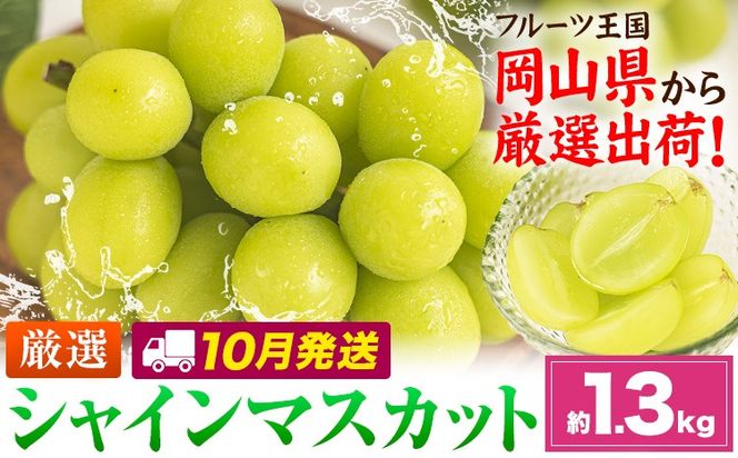 【10月発送】シャインマスカット 約1.3kg(2-3房)《2026年10月上旬-10月末頃出荷》岡山県 笠岡市 シャインマスカット 厳選 ぶどう ブドウ 葡萄 マスカット 果物 フルーツ ギフト---kasaoka_zsy_418_1300-10m---