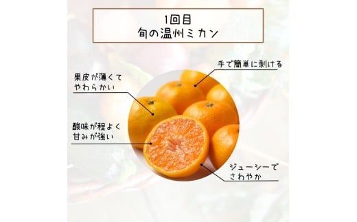 【全3回定期便】みかんの地和歌山から厳選してお届け！　人気の柑橘定期便/みかん 柑橘 果物 フルーツ 定期便 温州 ミカン 不知火 でこぽん せとか オレンジ 【tkb606】