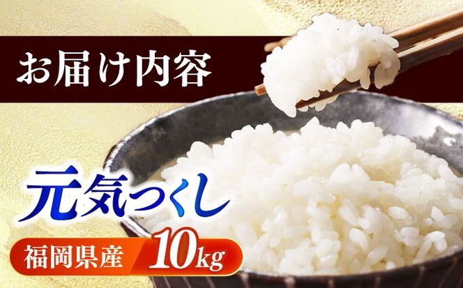 【令和6年産】果物屋さんが選んだ米 元気つくし 10kg 《築上町》【南国フルーツ株式会社】米 白米 お米 ブランド米[ABET011]