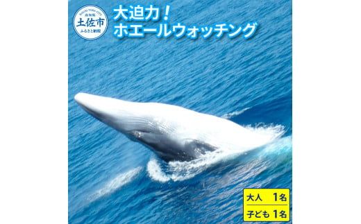 ホエールウォッチング 大人１名と子供1名分相当 11000円分クーポン レジャー 体験型 アクティビティ ウォッチング 観察 旅行 観光 遊ぶ クジラ くじら【宇佐ホエールウォッチング協会】 [BQCH002]