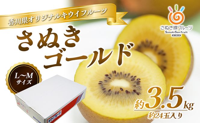さぬき ゴールドキウイ  L～４Lサイズ16玉～ 24玉 3.5kg ゴールデンキウイ キウイフルーツ キウイ フルーツ 果物 くだもの 果実 旬の果物 旬のフルーツ 香川 香川県 東かがわ市